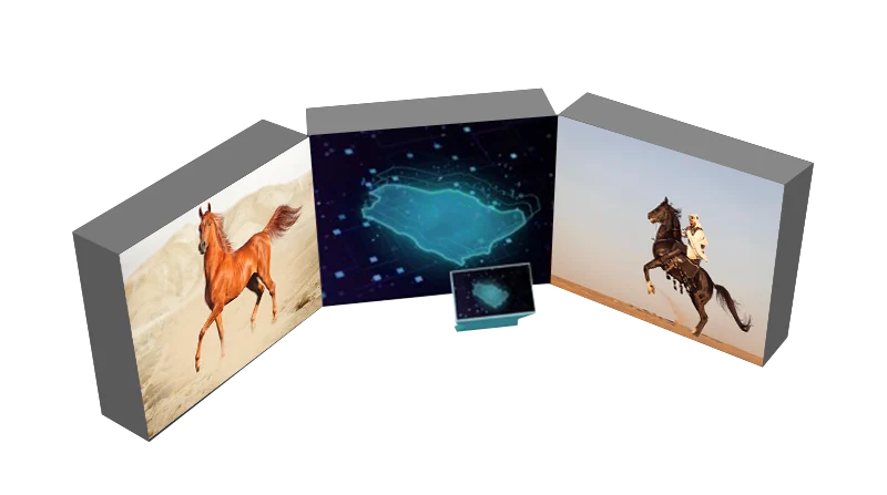 Three connected display panels with horse imagery and an interactive central map.